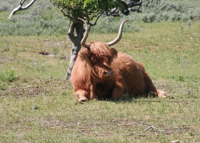 The Butterfly Luxe Met Private Parking *