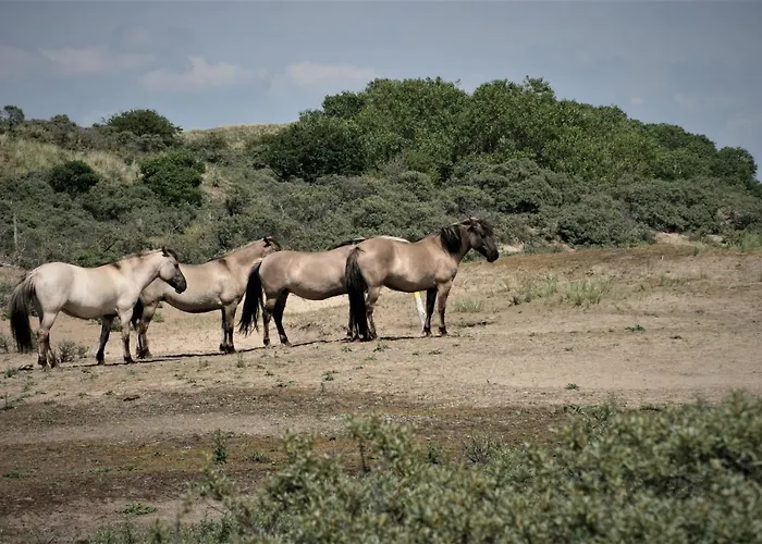 The Butterfly Luxe Met Private Parking *