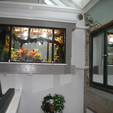 The Butterfly Luxe Met Private Parking